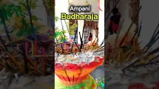 Ampani budharaja temple 🙏❤️🥹🚩#kalahandi #Ampani #vairalvideo #