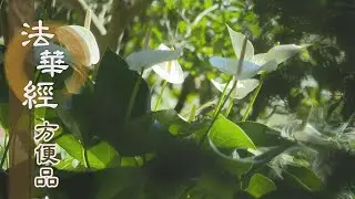 【靜思妙蓮華】法華經方便品 - 稀有難遇 聞法弘法 - 20200902 第448集