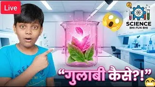 Easy Science Experiment | Magic science experiments #shorts  #science  #youtubeshorts