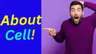 About Cell/ Cell organelles/ Organelle function