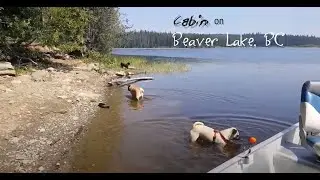 Beaver Lake Mountain Resort BC Cabin Rental Aug 2018