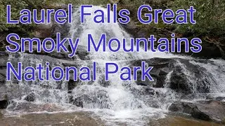 New Year's Hike to Laurel Falls Great Smoky Mountains National Park