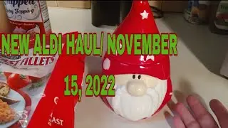 NEW ALDI HAUL/ NOVEMBER 15, 2022