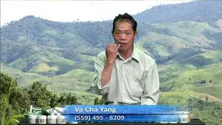 Va Cha Yang