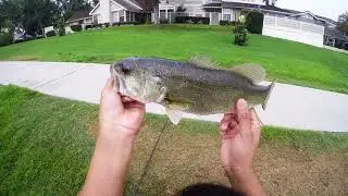 Illude Baits Dirty Rat Wake Bait