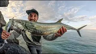 Sierra desde orilla en Panamá | Rock Fishing en Calzada de Amador