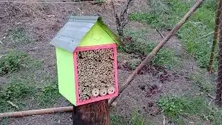 D.I.Y. Native Bee Pollinator Hotel🙏🏾🙏🏽🙏😁💪❤️