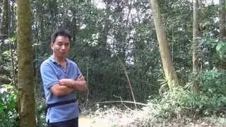 Oxalis Adventure Tours