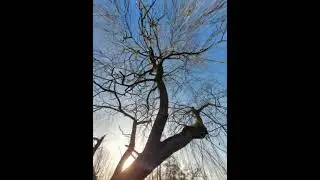 Ganjatherapie   Raggabund cover by Leïto