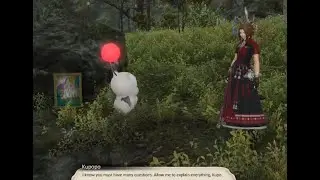 FFXIV 