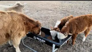 FeEdInG like always