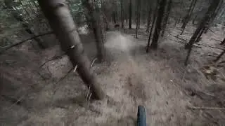 Off-camber Galore