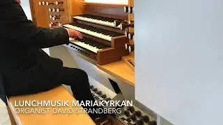 Lunchkonsert i Mariakyrkan i Skog&aring;s