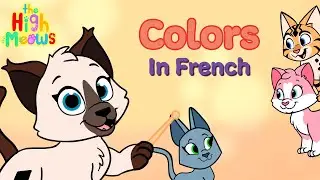 French Colors & Patterns with Alice the Kitten 🐱 | Preschool French Lesson + Song