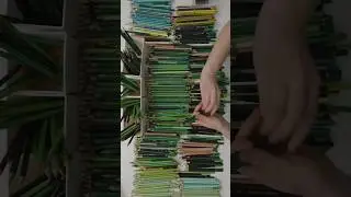 Sorting ALL my Green Pencils 💚💚💚