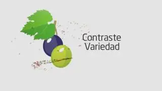 V&iacute;deo de la nueva imagen corporativa de la DO Bierzo