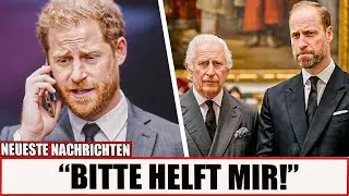 Palast best&auml;tigt Harrys $100M-Schulden &ndash; K&ouml;nig Charles & William lehnen Rettungsaktion ab