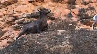 Backpacking the Arizona Trail - SOBO - Utah border to the South Rim of the Grand Canyon