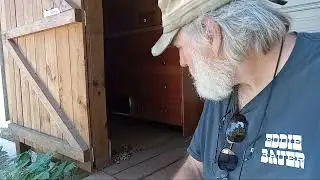 Porch Snake at the Compound!