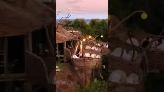 Dinner at Toh Azulik high above the ruins in Tulum Mexico