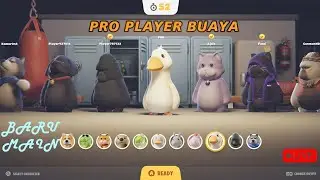 Pro Player berang berang | Party Animal - Baru Streaming