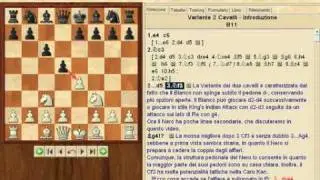Caro Kan 2Cavalli-Intro