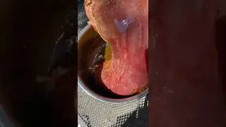 Goya Seasoned Beef Flank #youtubeshorts #ytshorts