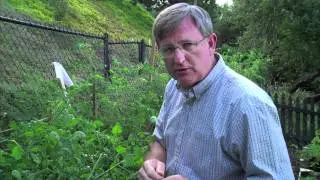 FIELD TRIP - LEMON TREE GARDENS