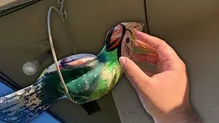 *ASMR* Tapping & Scratching Outdoors 🦜