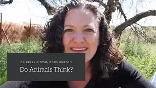 Do Animals Think?