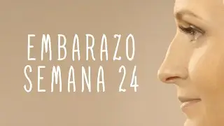 Calendario De Embarazo - Semana 24