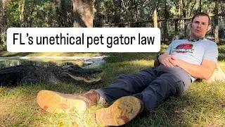 FL&rsquo;s unethical pet gator law
