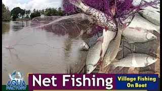 Village Fishing on Boat | Traditional Cast Net fishing | Net Fishing | Aqua Factory