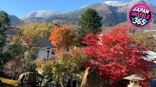 Onsen & Garden -Asante Inn- | Hakone, Japan | Hotel Review ⭐
