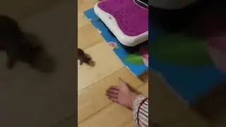 Raising and caring for mice with love and care part 8