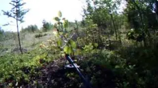 Manitoba Airsoft, Seddons Corner
