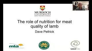 The role of nutrition for meat quality of lamb by Dave Pethick from Murdoch university