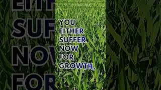 Pain Builds You | Become Dangerous Motivation #motivation #selfdiscipline
