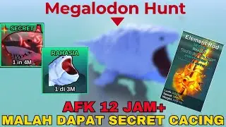DAY5 MEGALODON HUNT AFK 12JAM MALAH DAPAT SECRET CACING - Fish it