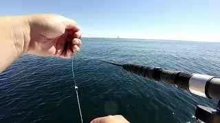 Rock fish opener