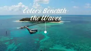 Colors Beneath the Waves #urban  #music  #adventure  #travelmusic  #greatbarrierreef