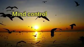 &ldquo;Red Brain vs Weak Crowd &ndash; Unlock Ultimate Focus | mindset ko upgrade karna chahte ho 