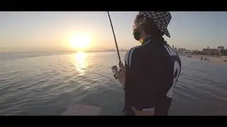 Fishy Friday