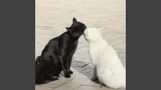 not like you