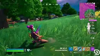 THE DUCKS MADE ME QUACK