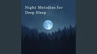 Quiet Night's Grace