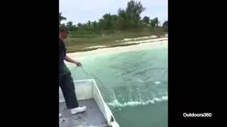 Perfect mullet cast! Cast net slow motion, 100 pounds of mullet