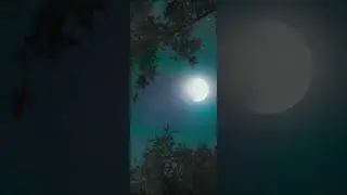 Kantata movie best scene BELAKU