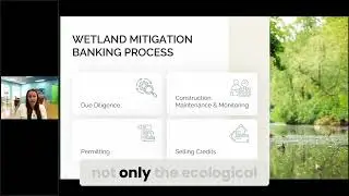 Permits, Markets, Maintenance: Building a Mitigation Bank the Right Way