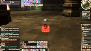 Lineage2 Aeron Server Wallaby01